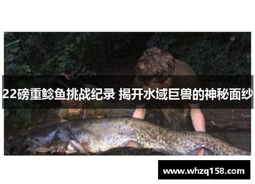 22磅重鲶鱼挑战纪录 揭开水域巨兽的神秘面纱